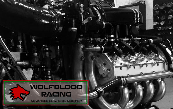 Wolfblood Racing Engine Oil Modifier, WS2 500g blast pack